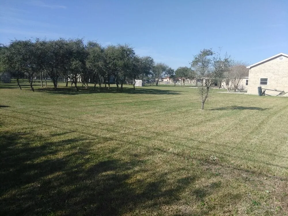 Local yard cleanup service for year-round maintenance in Corpus Christi, TX by James Lawn Service