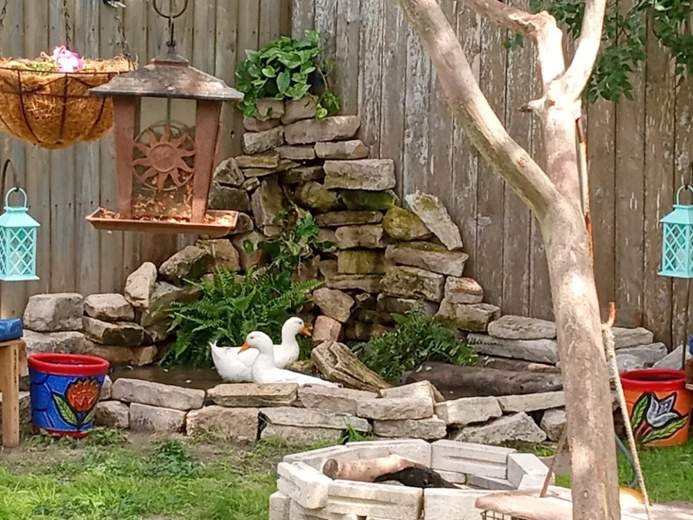 Professional yard cleanup service in Corpus Christi, TX - James Lawn Service