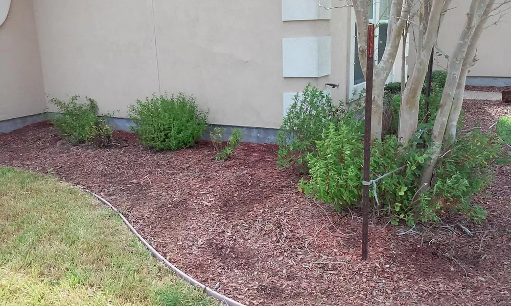 Trusted landscape installation near you across Corpus Christi, TX - James Lawn Service