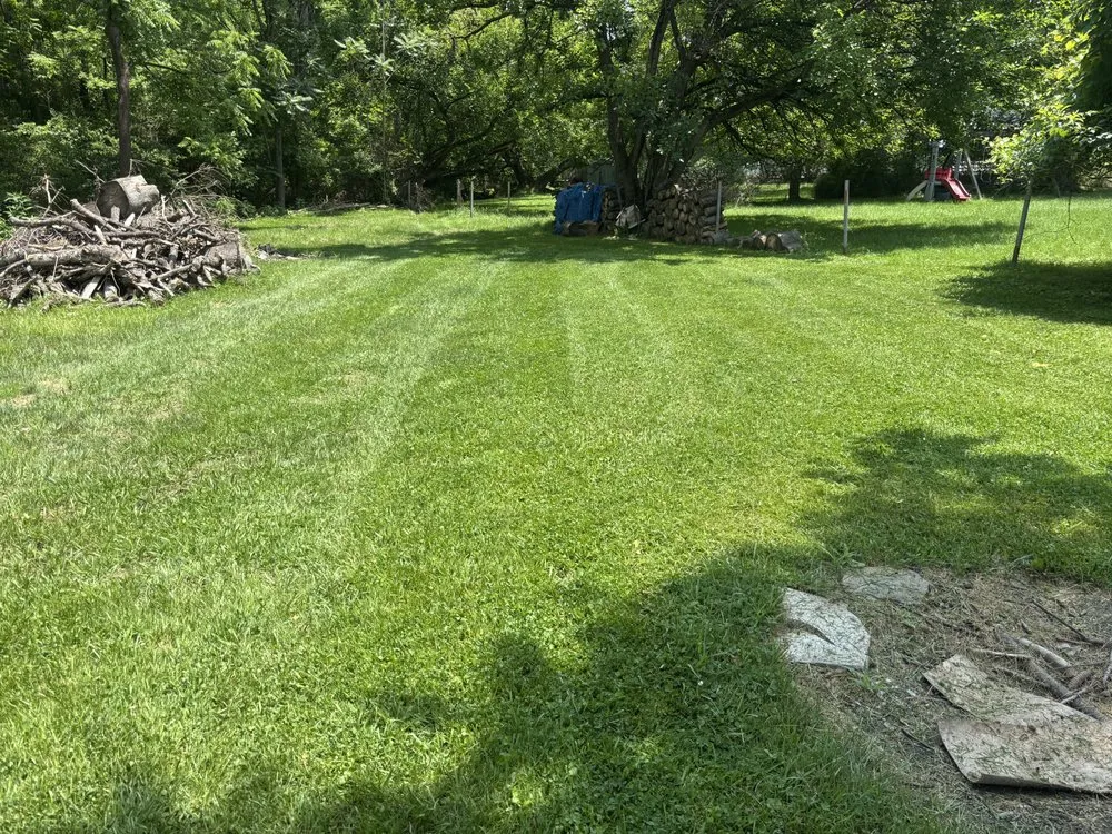 Professional yard cleanup service for beautiful yards in Waynesburg, PA by James Lawn Service