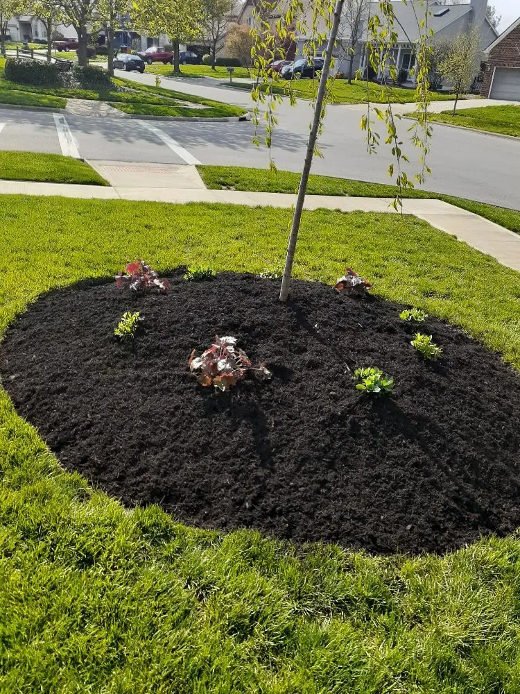 Custom landscape installation in Columbus, OH - James Lawncare