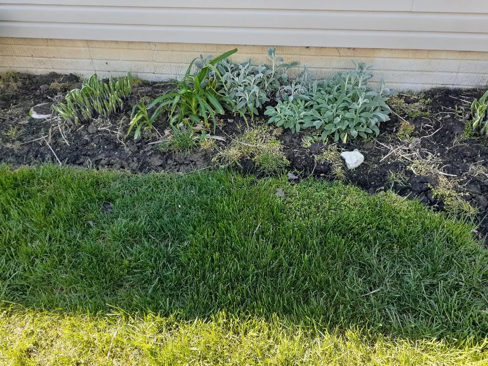Expert garden landscaping in Columbus, OH by James Lawncare