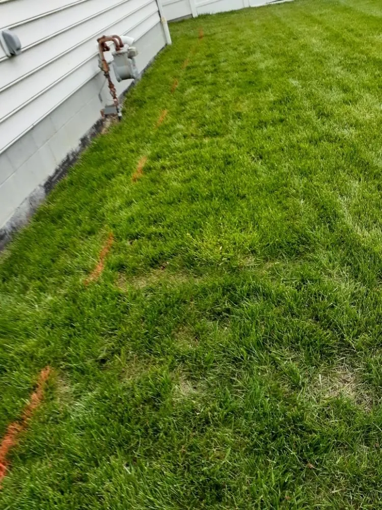 Trusted landscaping services experts serving Columbus, OH - James Lawncare