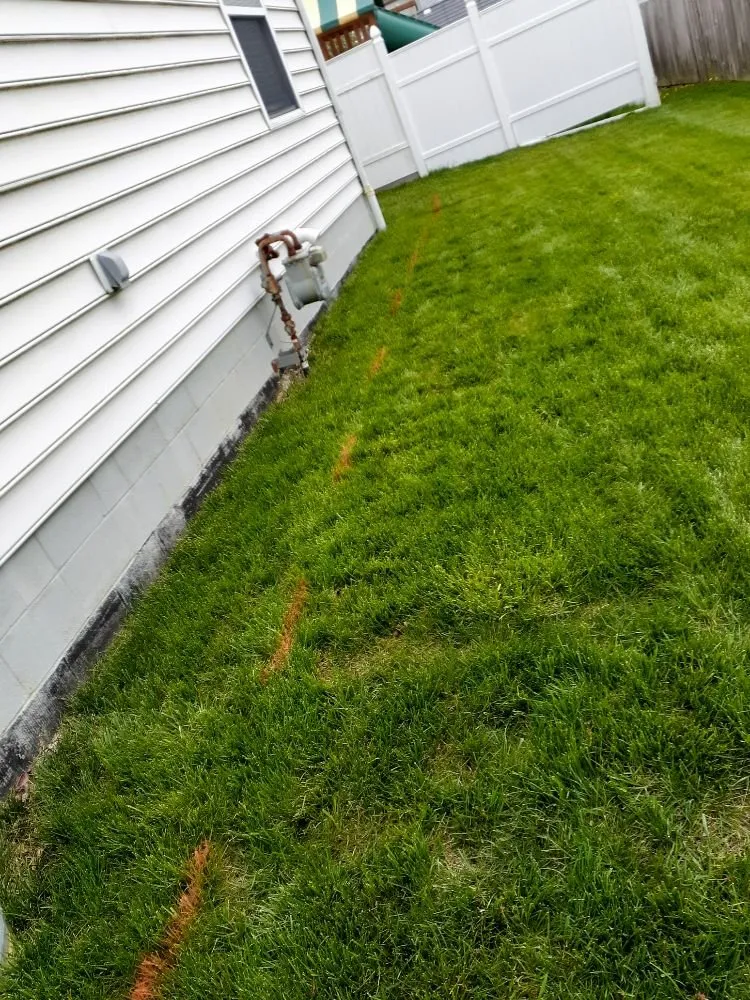 Trusted yard cleanup service for outdoor upgrades in Columbus, OH by James Lawncare