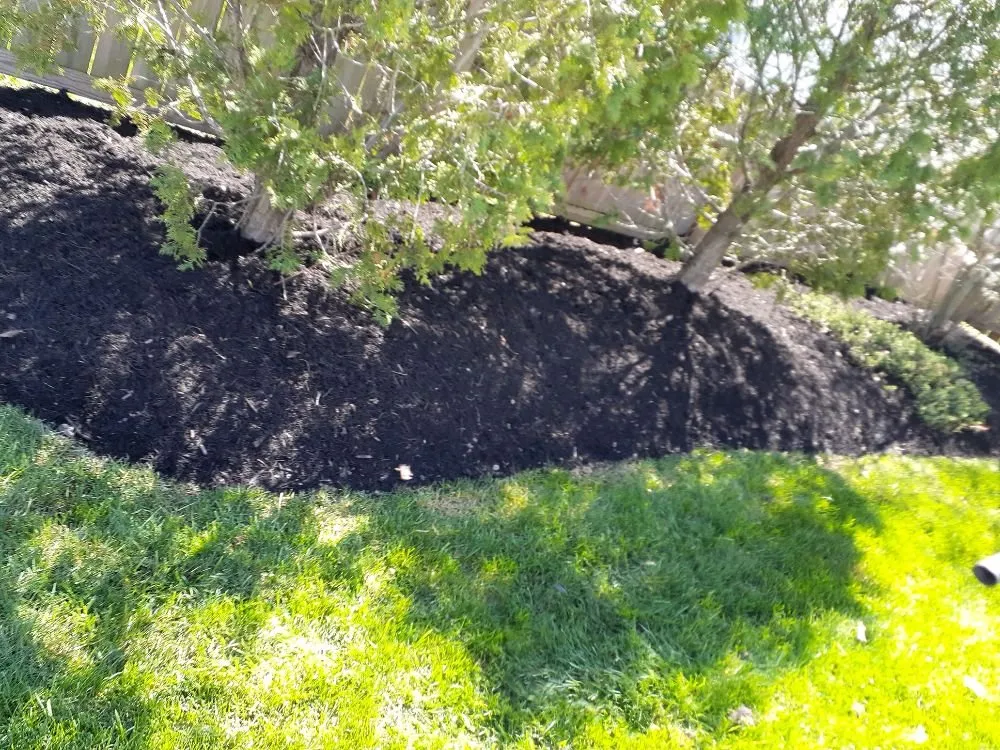 Affordable landscaping services experts serving Columbus, OH - James Lawncare