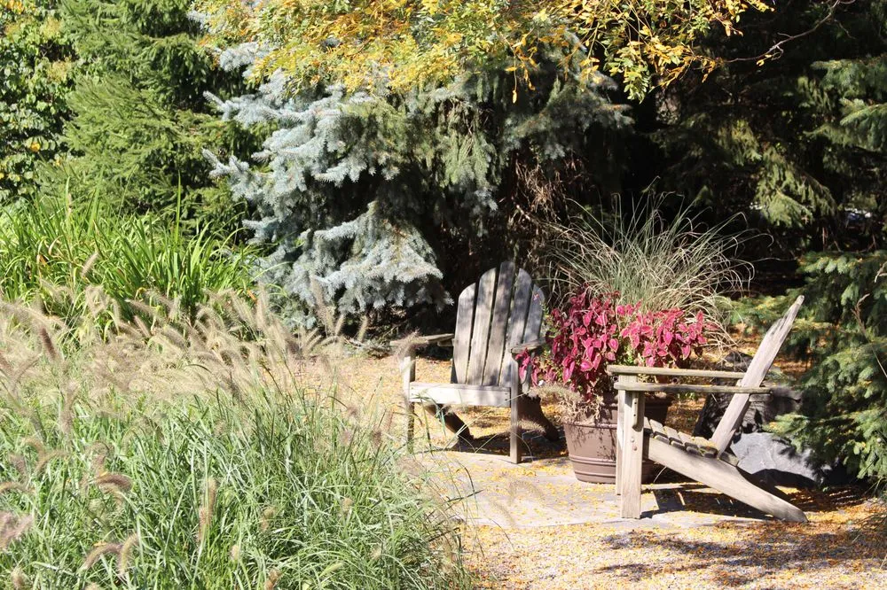 Reliable yard cleanup service in Mundelein, IL - James Martin Associates