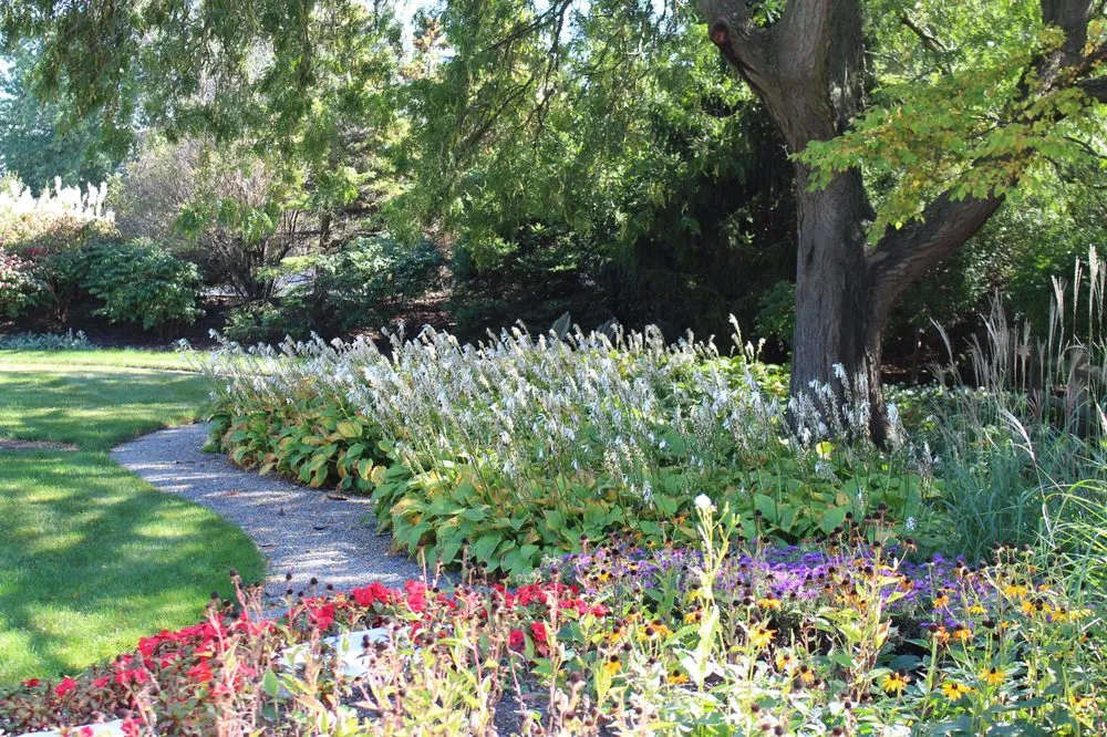 Top-rated lawn care service for beautiful yards in Mundelein, IL by James Martin Associates