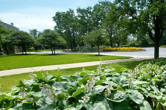 Custom landscape installation in Mundelein, IL - James Martin Associates