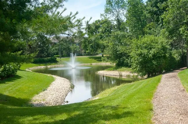 Top-rated landscape design for beautiful yards across Mundelein, IL - James Martin Associates