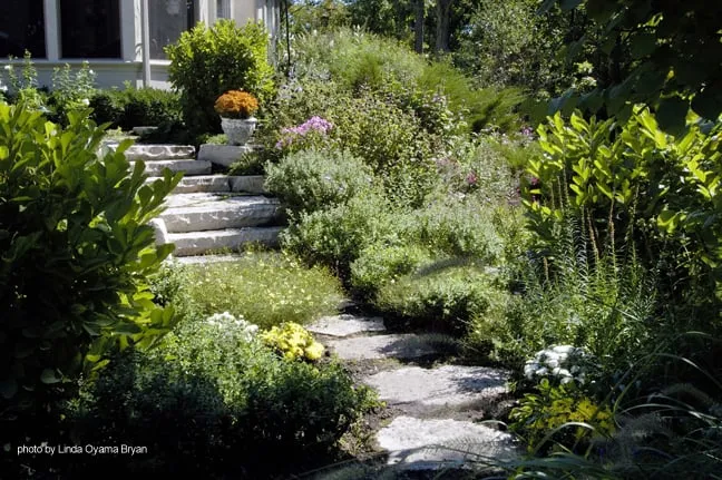 Professional landscape design in Mundelein, IL by James Martin Associates