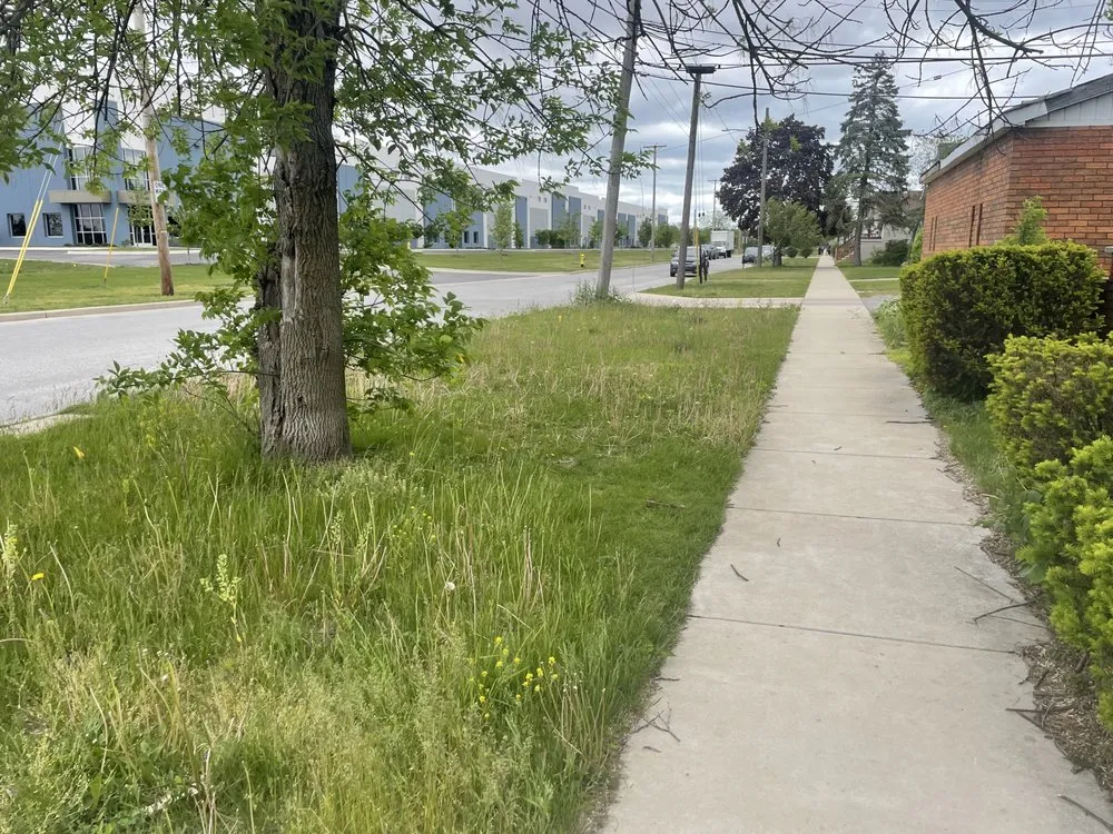 Custom yard maintenance experts serving Hammond, IN - James Mccain Landscaping/Snowplowing