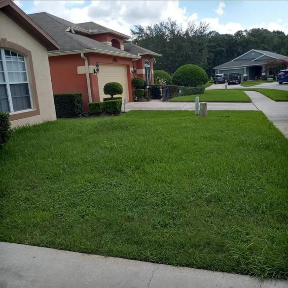 Local landscape design in Dade City, FL by James Multi Services