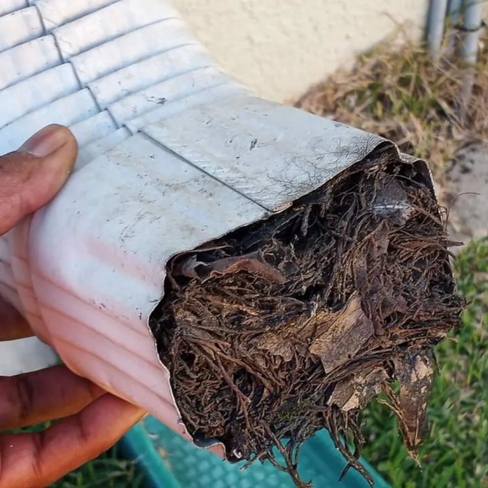 Custom yard maintenance in Dade City, FL by James Multi Services