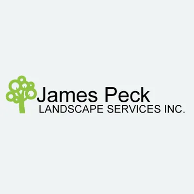 Reliable yard cleanup service in Brooksville, FL by James Peck Landscape Services