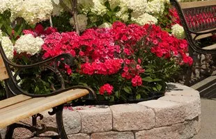 Local yard cleanup service in Brooksville, FL by James Peck Landscape Services