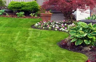 Reliable lawn mowing service in Brooksville, FL - James Peck Landscape Services