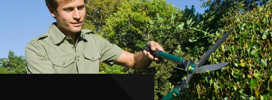 Reliable yard maintenance with custom design across Brooksville, FL - James Peck Landscape Services