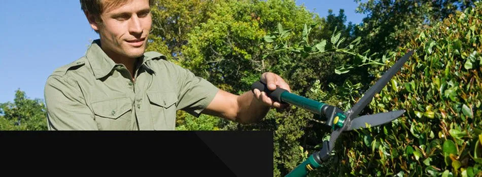 Expert yard maintenance experts serving Brooksville, FL - James Peck Landscape Services