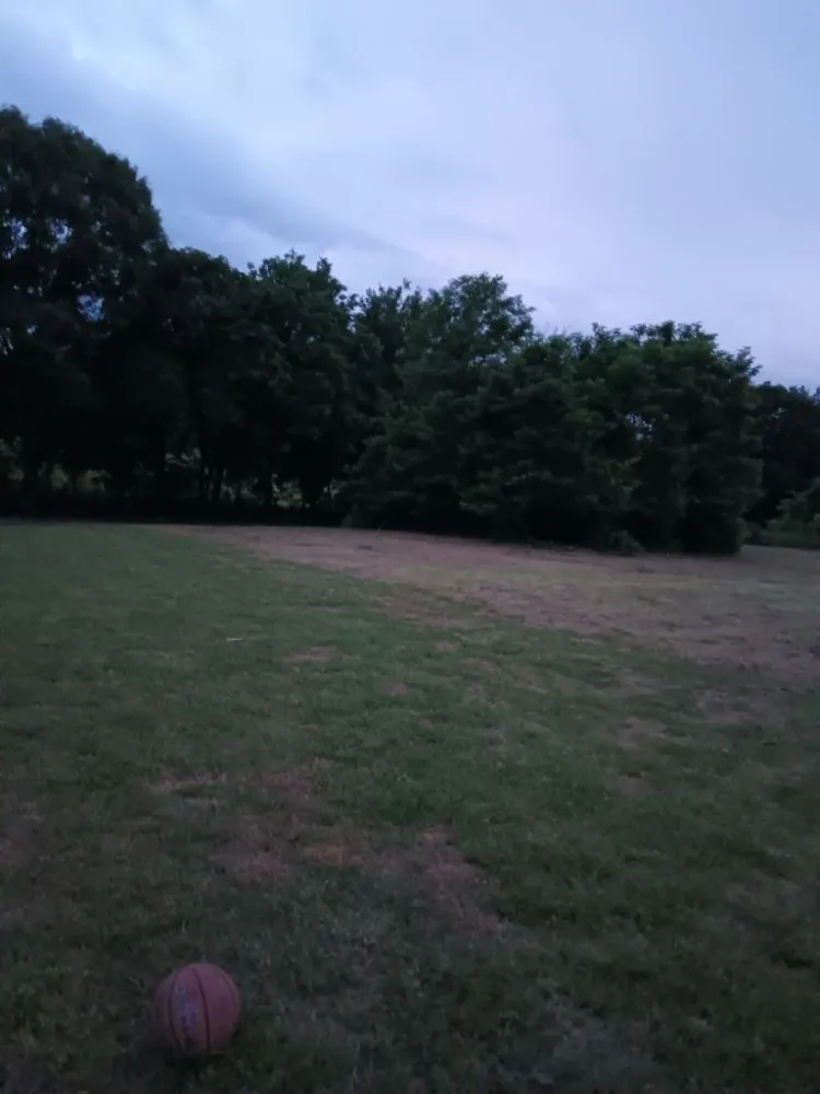 Local landscaping services for year-round maintenance in Fayetteville, TN by James Randall Wells