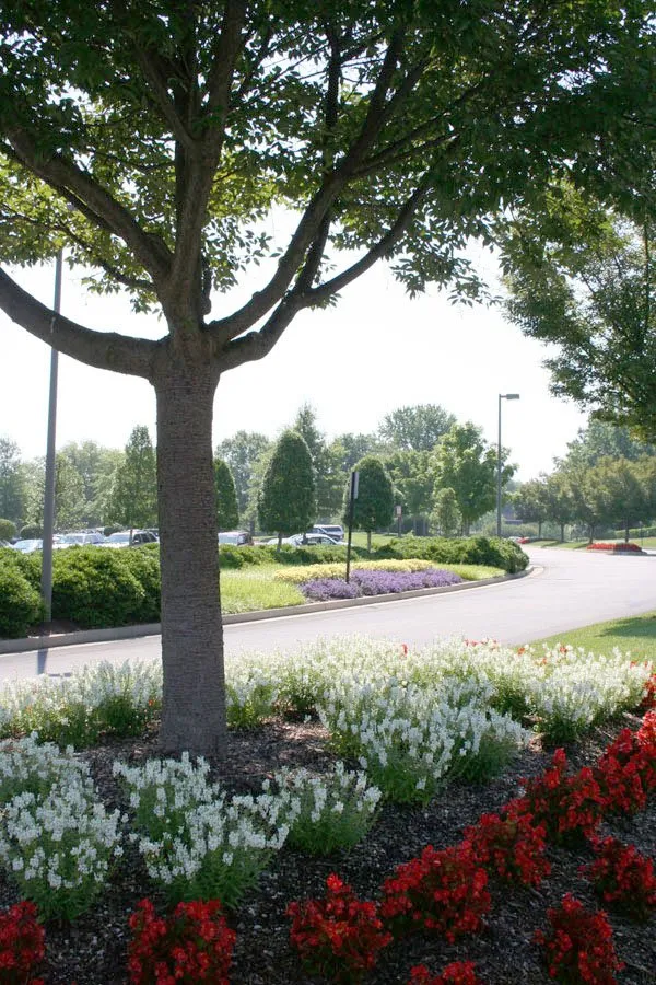 Expert landscape installation in Glen Allen, VA by James River Grounds Management