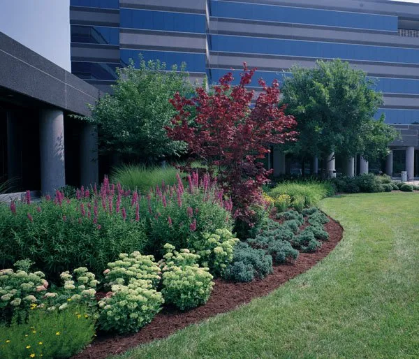 Custom residential landscaping experts serving Glen Allen, VA - James River Grounds Management