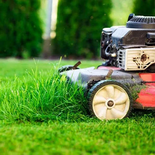 Reliable outdoor landscaping for homes across Troutville, VA - James River Professional Hardscaping and Property Management