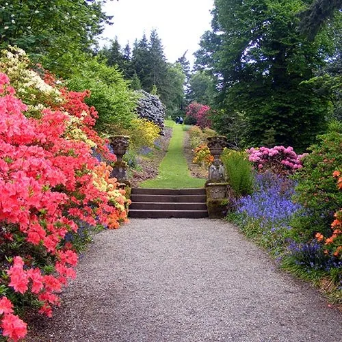 Professional yard cleanup service in Troutville, VA - James River Professional Hardscaping and Property Management