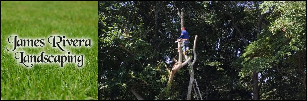 Affordable lawn care service in East Hampton, NY by James Rivera Landscaping