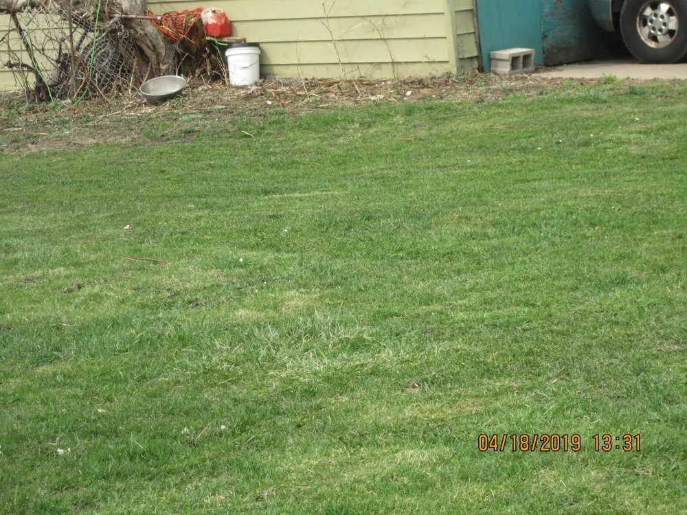 Professional yard maintenance in Buffalo, NY - James Skinner Landscaping