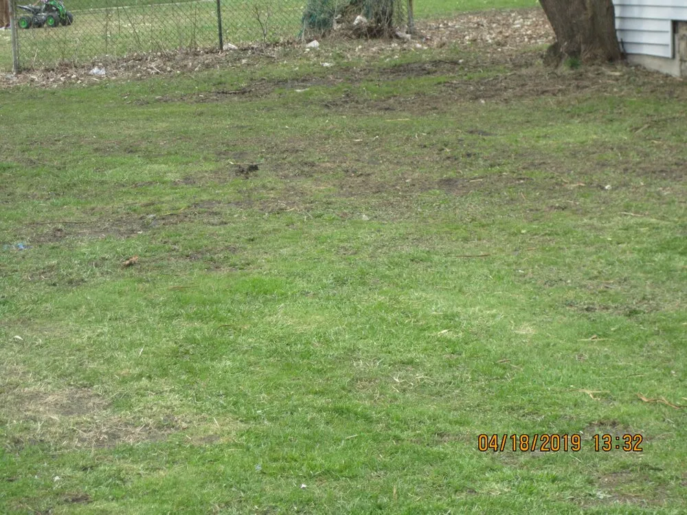 Top-rated yard maintenance in Buffalo, NY by James Skinner Landscaping