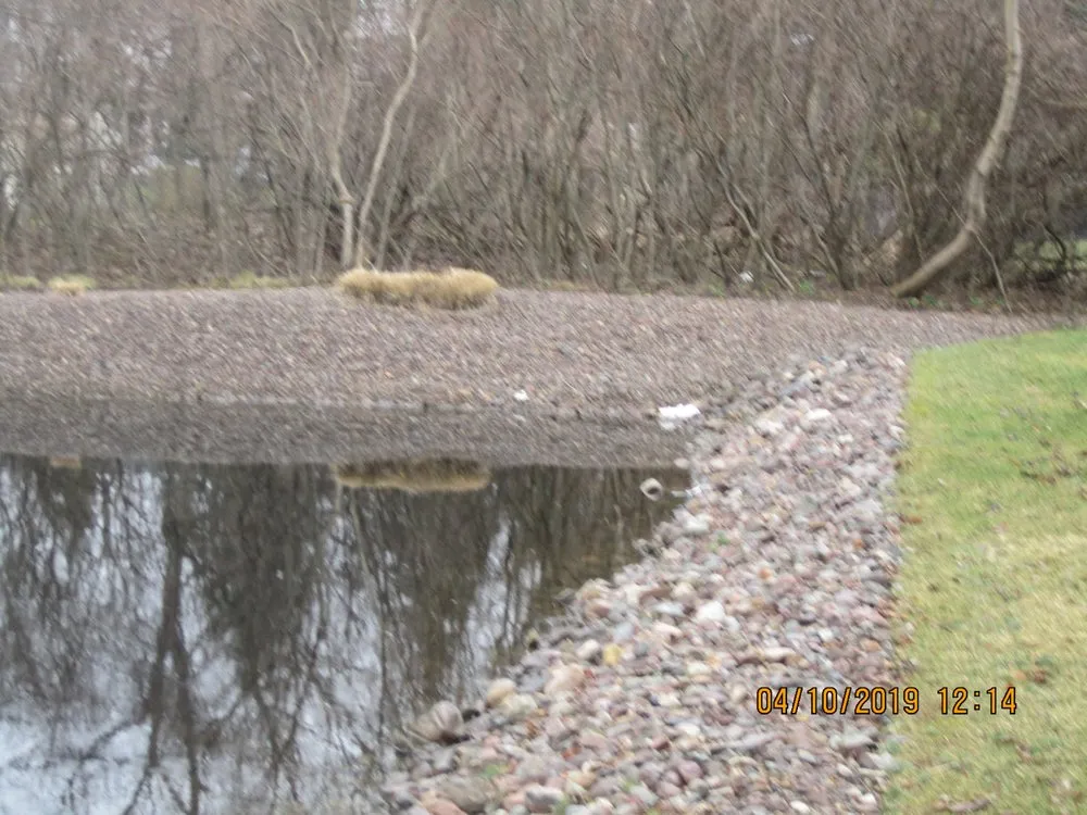 Professional residential landscaping in Buffalo, NY by James Skinner Landscaping