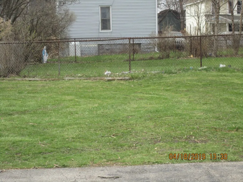 Expert yard maintenance experts serving Buffalo, NY - James Skinner Landscaping