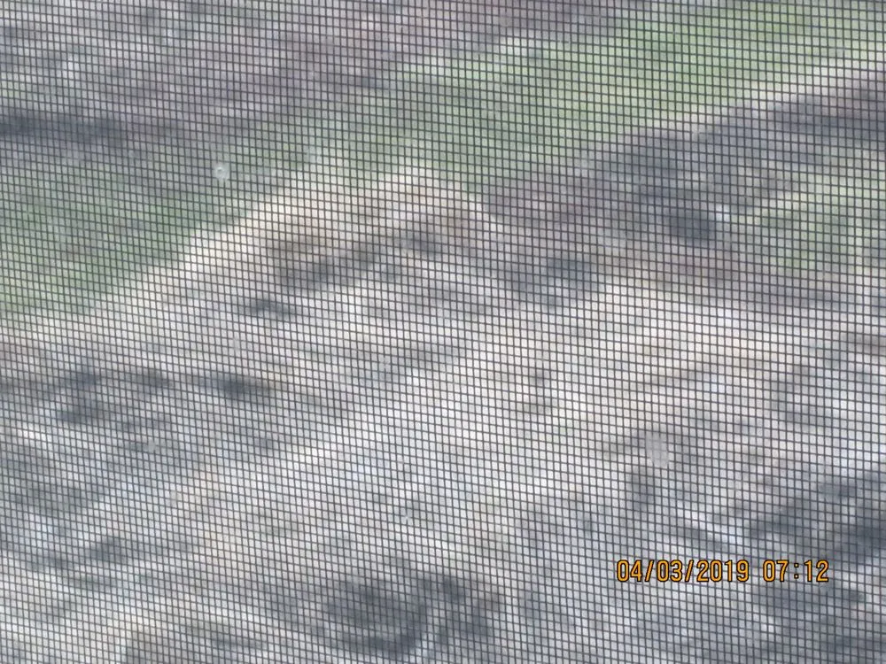 Professional garden landscaping in Buffalo, NY - James Skinner Landscaping