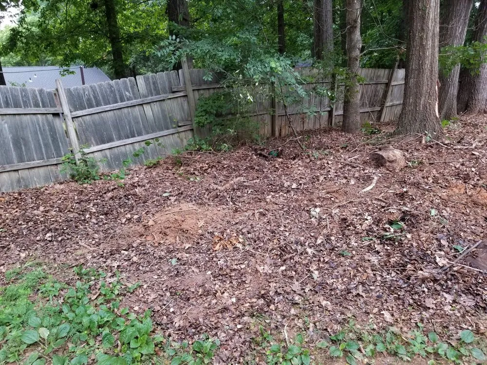 Expert landscape design experts serving Gastonia, NC - James Terry Tree Service