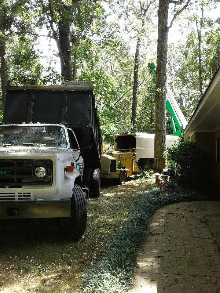 Expert landscape installation for year-round maintenance across Gastonia, NC - James Terry Tree Service