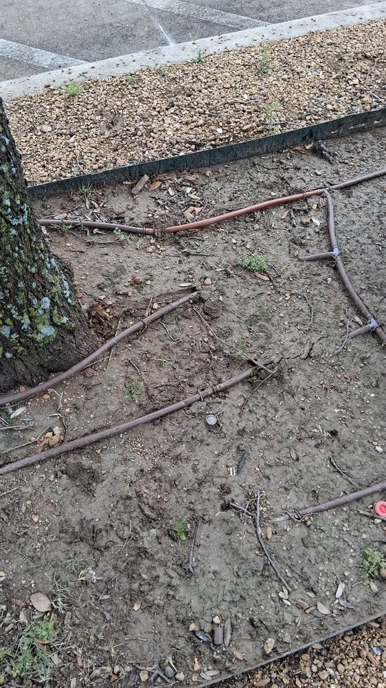 Professional lawn mowing service in Garland, TX - James The Landscaper