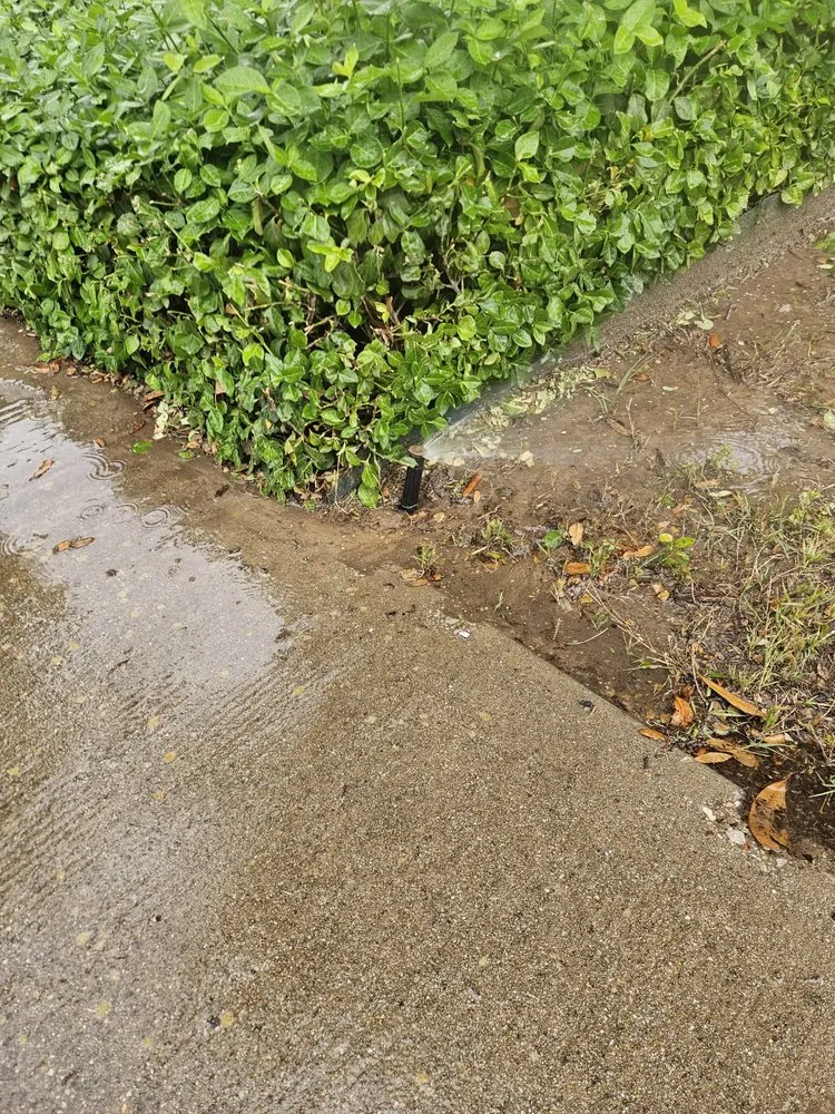 Top-rated lawn mowing service in Garland, TX - James The Landscaper