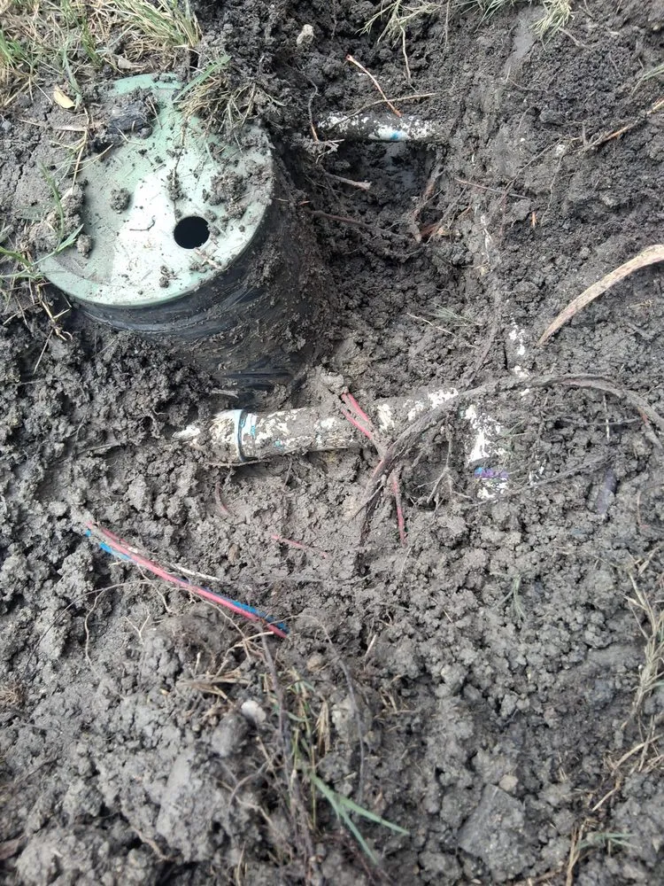 Professional lawn care service experts serving Garland, TX - James The Landscaper