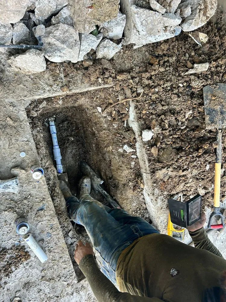 Affordable yard cleanup service for year-round maintenance across Garland, TX - James The Landscaper