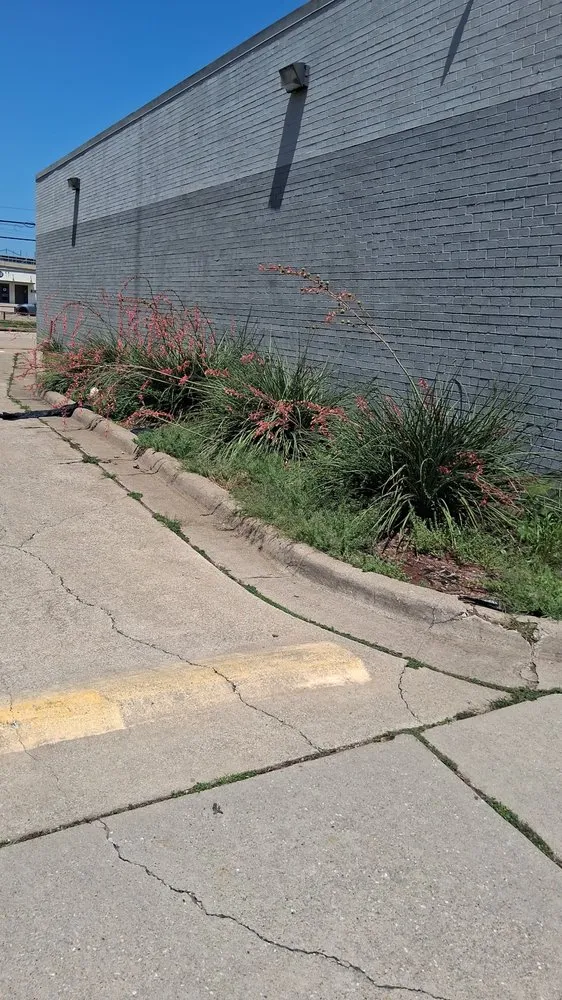 Top-rated lawn mowing service for beautiful yards across Garland, TX - James The Landscaper