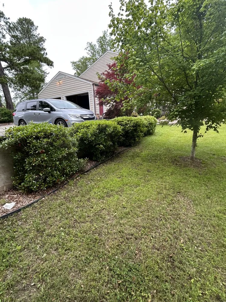 Expert yard maintenance for outdoor upgrades in Rock Hill, SC by James Thompsons Land-artistry