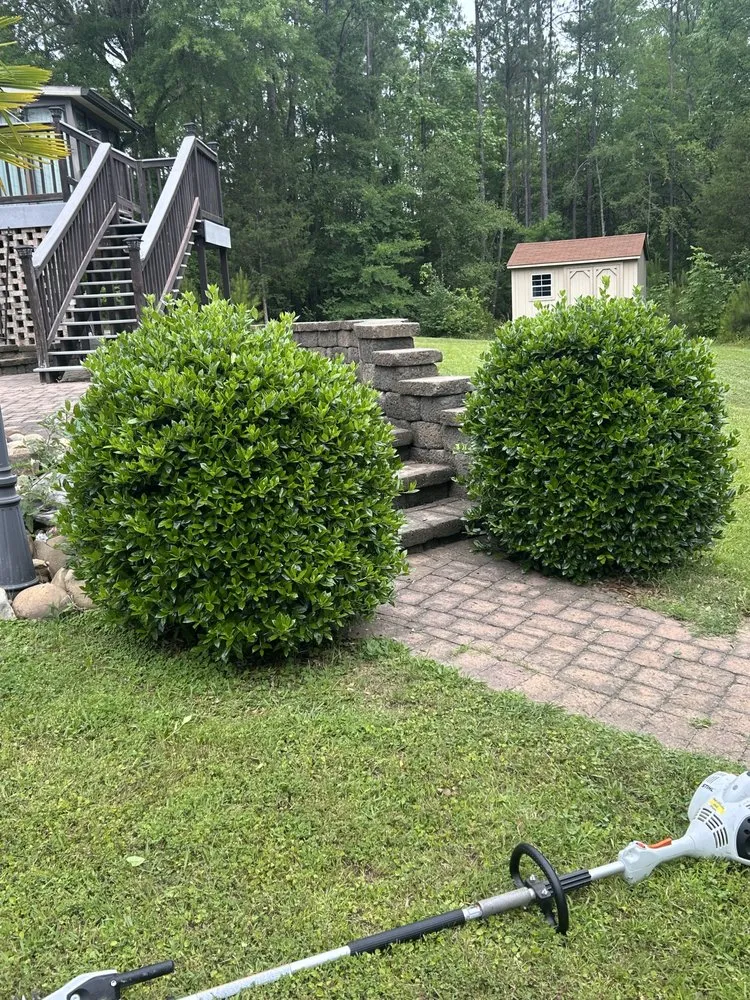 Top-rated outdoor landscaping for year-round maintenance in Rock Hill, SC by James Thompsons Land-artistry