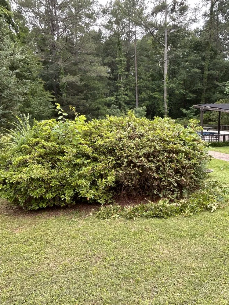 Affordable lawn mowing service experts serving Rock Hill, SC - James Thompsons Land-artistry