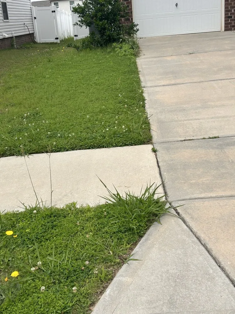 Expert lawn care service for beautiful yards across Rock Hill, SC - James Thompsons Land-artistry