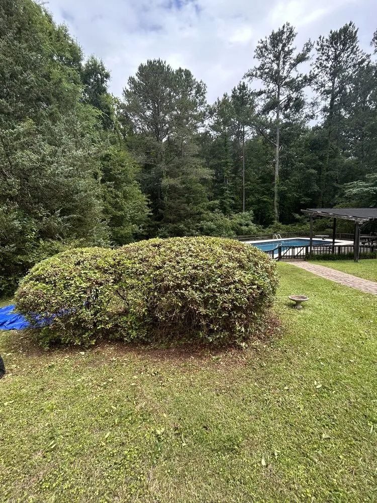 Professional lawn mowing service for residential properties in Rock Hill, SC by James Thompsons Land-artistry