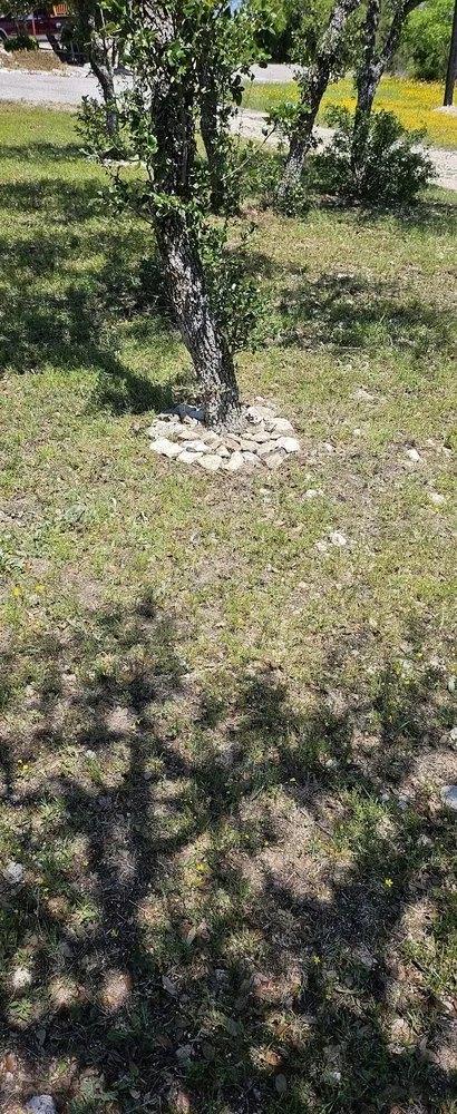 Trusted yard maintenance for homes across Kerrville, TX - James' TLC