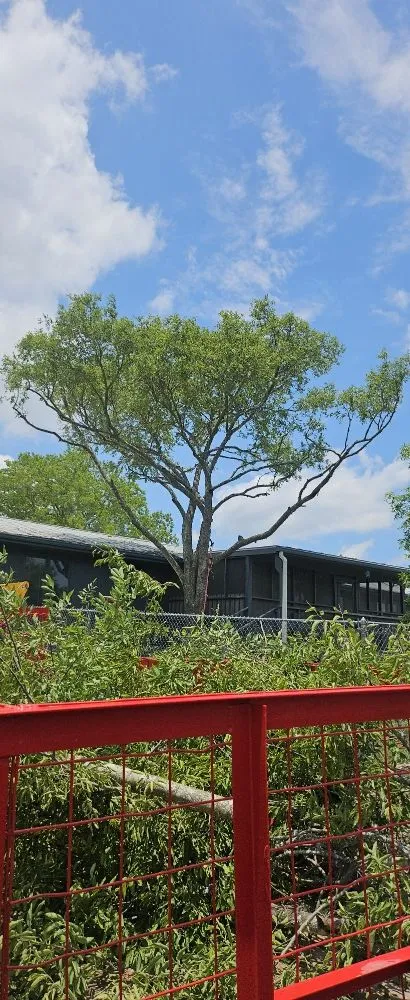 Top-rated garden landscaping for residential properties across Kerrville, TX - James' TLC