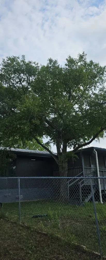 Trusted lawn care service for residential properties in Kerrville, TX by James' TLC