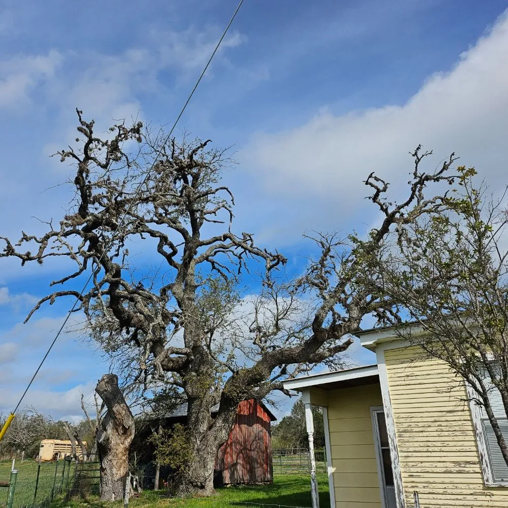 Trusted landscape installation for outdoor upgrades across Kerrville, TX - James' TLC