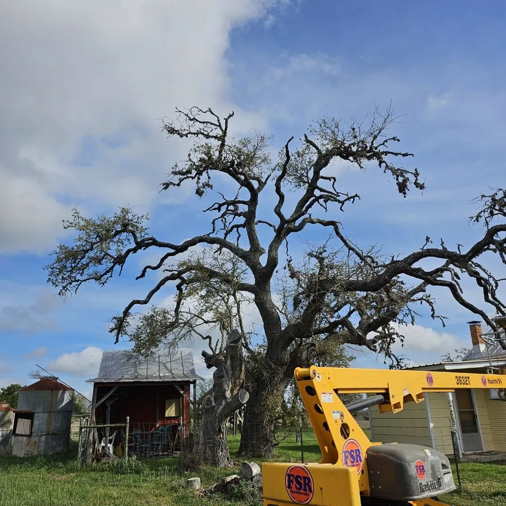 Local landscaping services in Kerrville, TX by James' TLC
